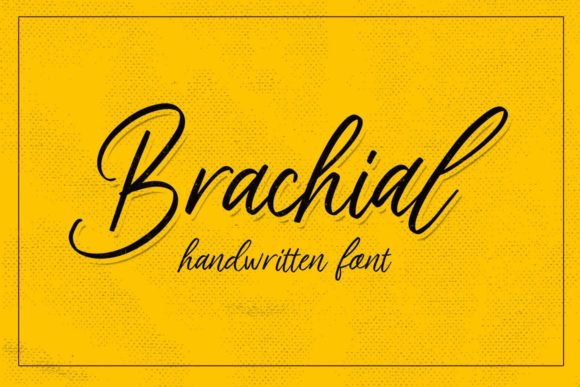 Brachial: Elevate Your Brand with This Elegant Handwritten Font