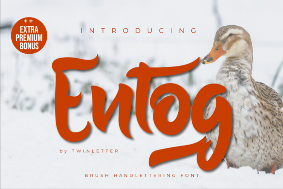 Discover Entog: A Handwritten Font for Editorial Charm
