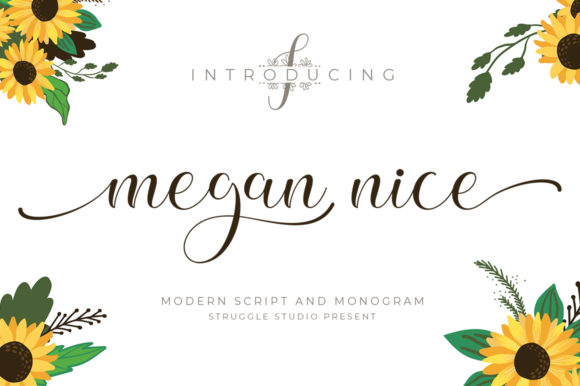 Elevate Your Editorial Design with Megan Nice Font