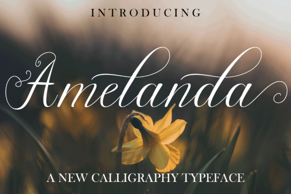 Elevate Your Web Design with Amelanda Font