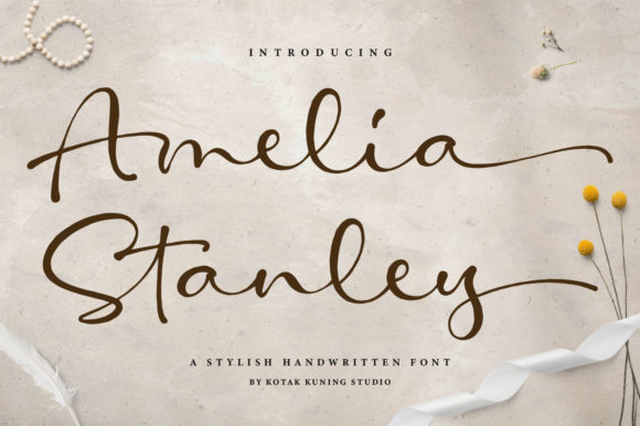 Elevate Your Web Design with Amelia Stanley Font