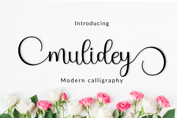 Enhance Your Brand with Mulidey: A Handwritten Font for Business