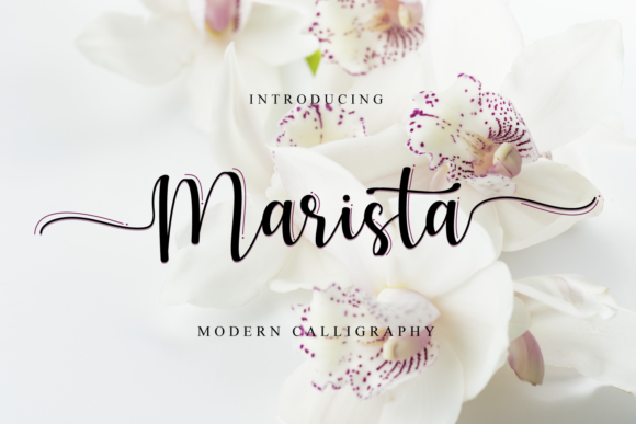 Marista: A Handwritten Font for Elegant Editorial Design