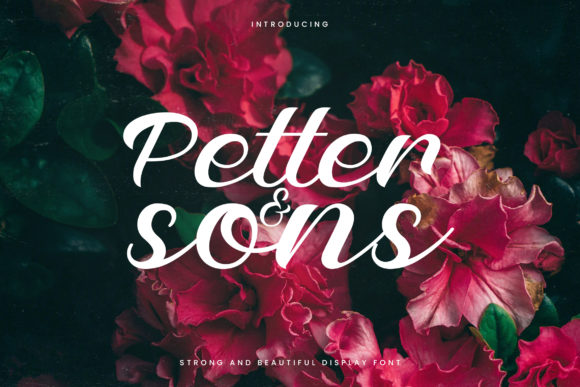 Petter and Sons: A Handwritten Font for Editorial Elegance