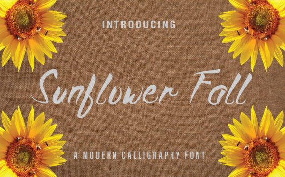 Transform Your Brand with Sunflower Fall Font