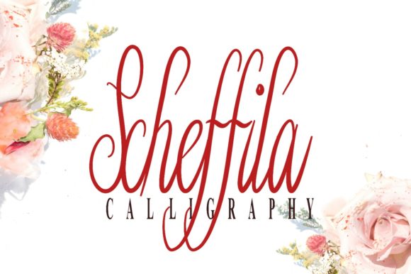Unveiling Schefilla: A Handwritten Font for Elegant Campaigns