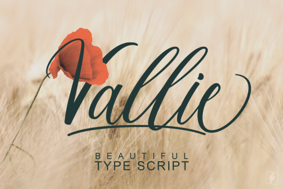 Valiie: The Elegant Font for Polished Branding